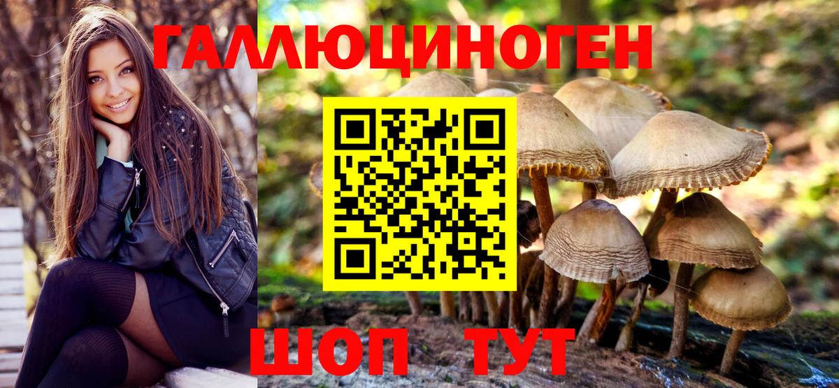 Десногорск  Галлюциногенные грибы Cubensis  Вход с VPN 